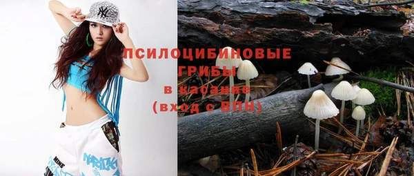 mix Верея