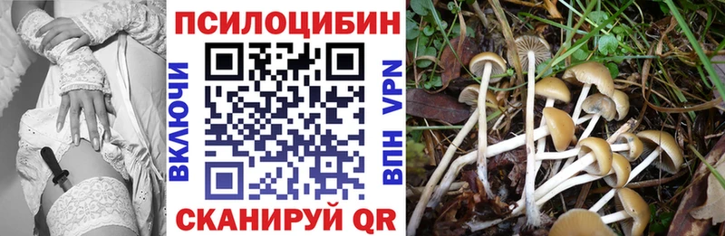 Псилоцибиновые грибы мицелий наркота Вологда