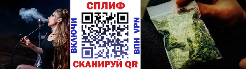 наркота  Вологда  Конопля ГИДРОПОН 